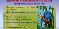 6 опасностей, которые подстерегают нас на природе. Как их избежать. - Козульский район