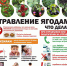 Памятка по профилактике отравлений ядовитыми растениями. - Козульский район
