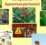 Памятка по профилактике отравлений ядовитыми растениями. - Козульский район