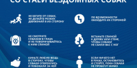 Меры предосторожности при встрече с бродячими собаками.. - Козульский район