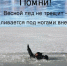 Опасности весеннего льда!. - Козульский район