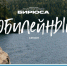 Всероссийский молодежный образовательный форум «Территория инициативной молодежи «Бирюса». - Козульский район
