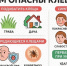 ВАЖНО ЗНАТЬ! ПРИБЛИЖАЕТСЯ СЕЗОН КЛЕЩЕЙ!!! - Козульский район